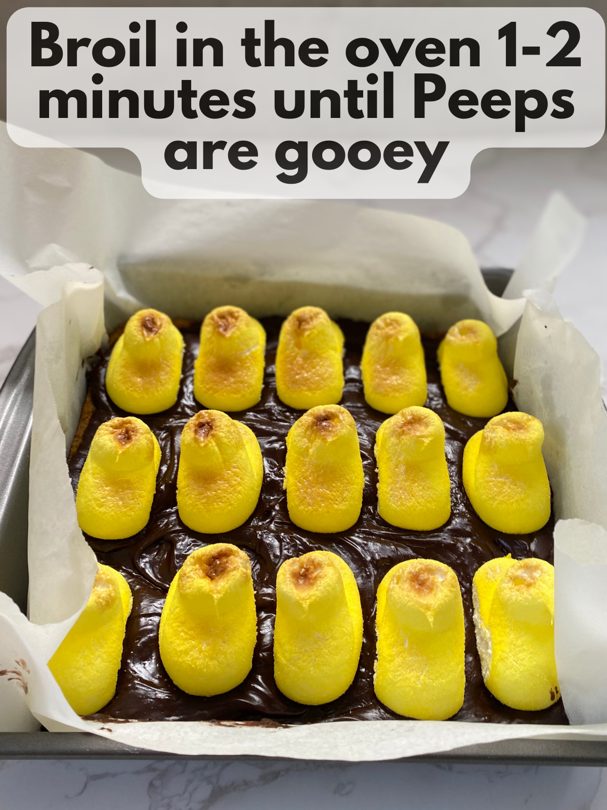 peeps smores bars with toasted peeps on top