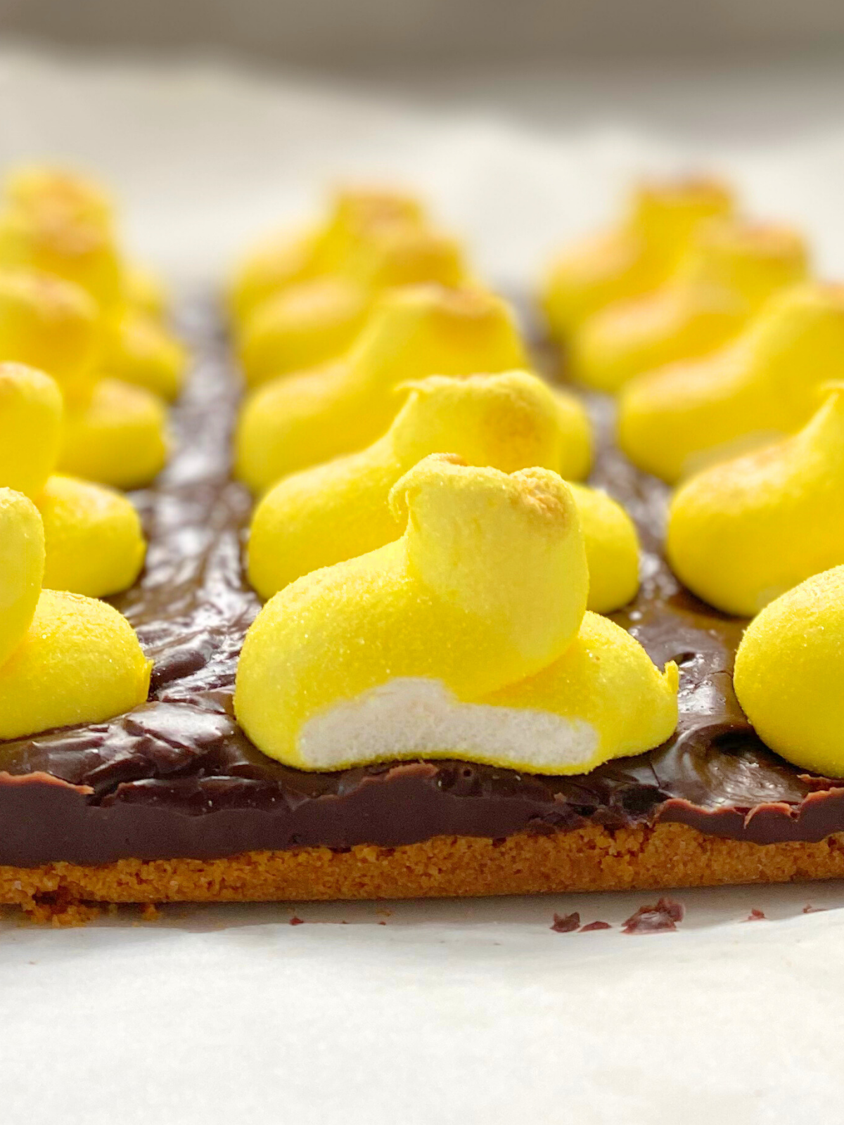 peeps smores bars