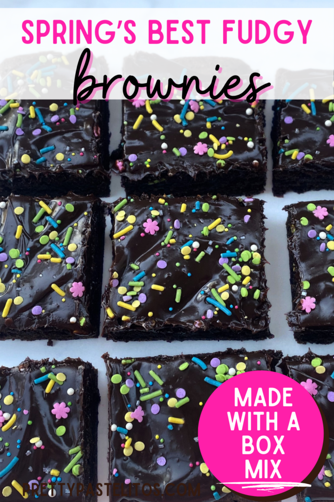 springtime brownies pin