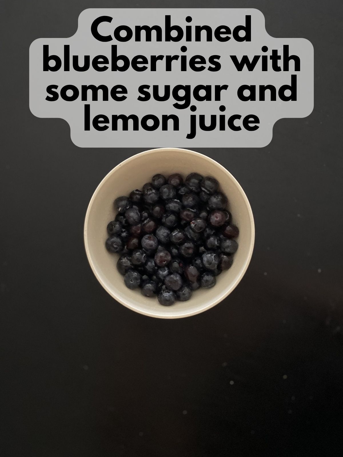 fresh blueberries mixed with lemon juice and sugar