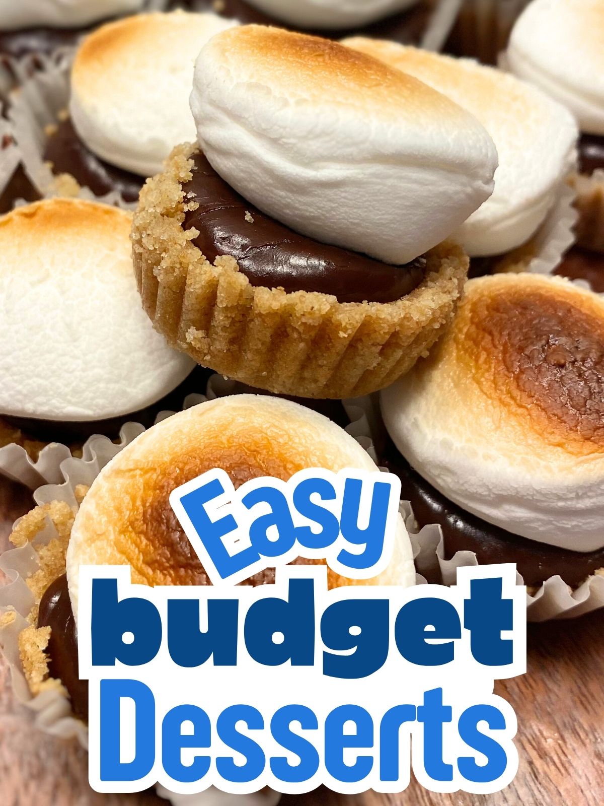 mini smores bites
