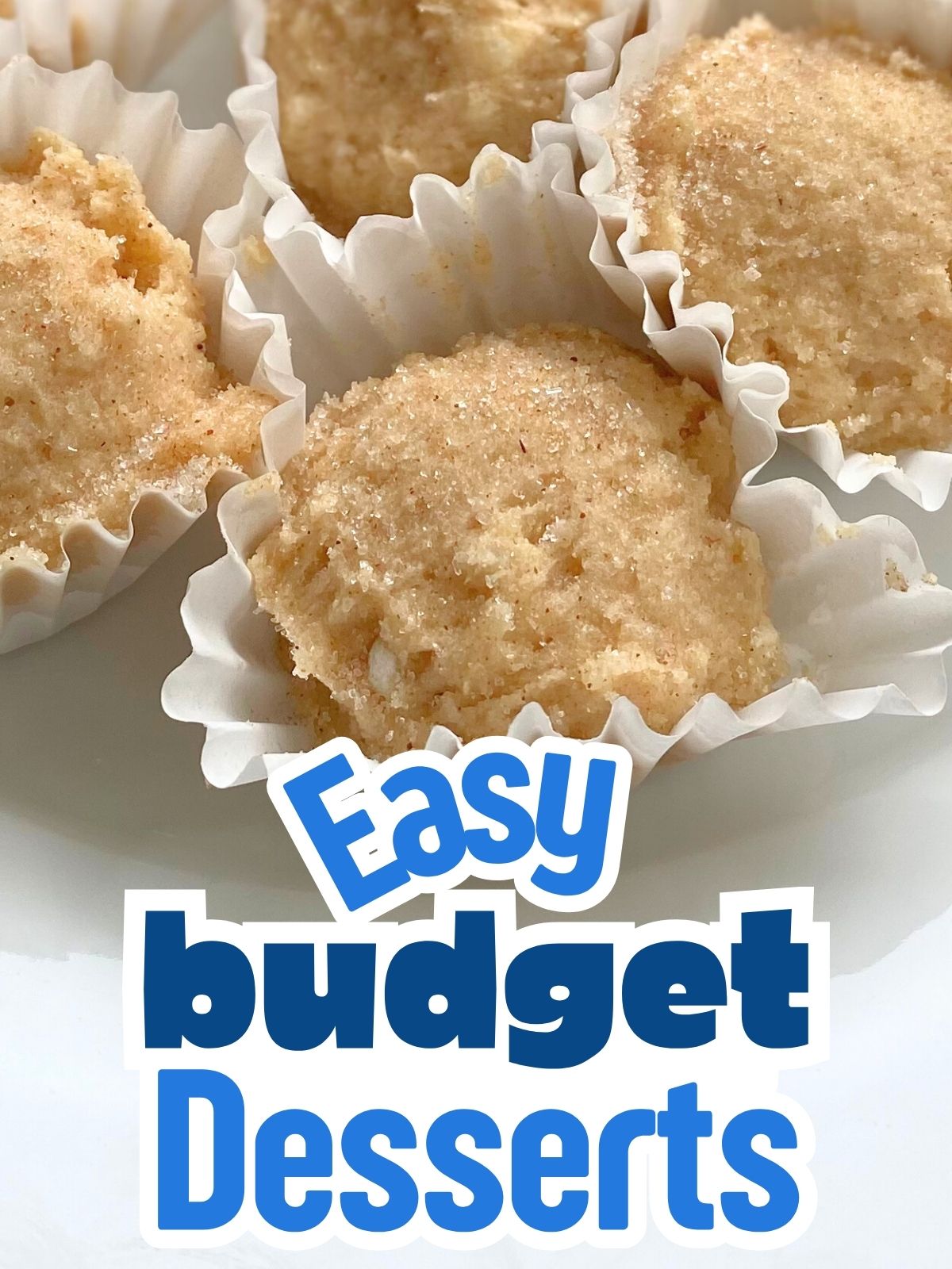 snickerdoodle edible cookie dough