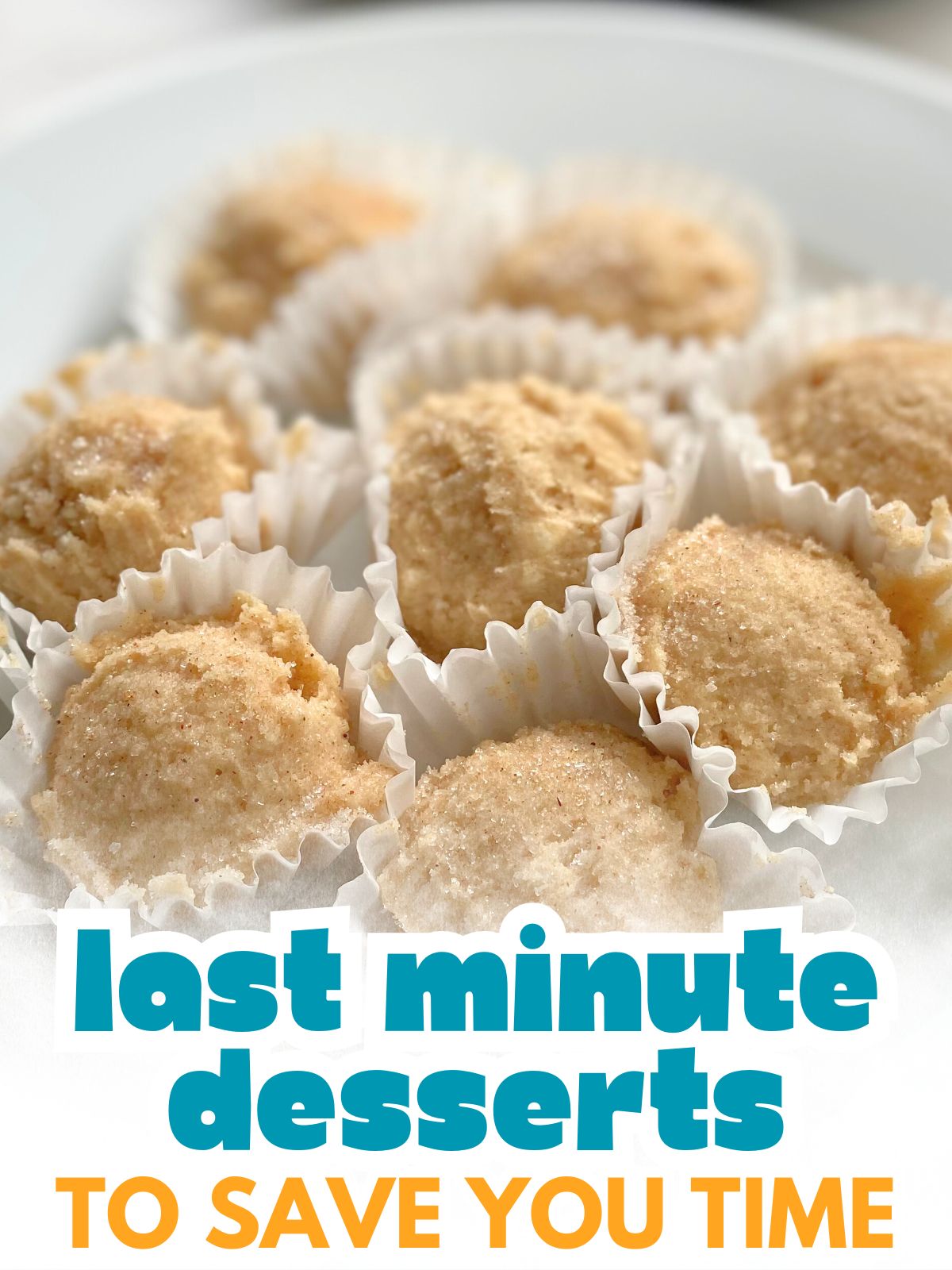 snickerdoodle edible cookie dough