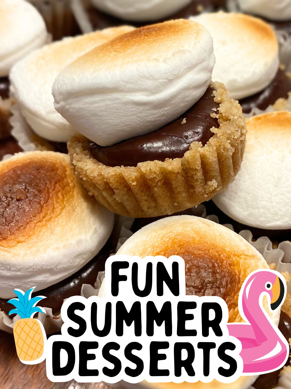 mini smores bites