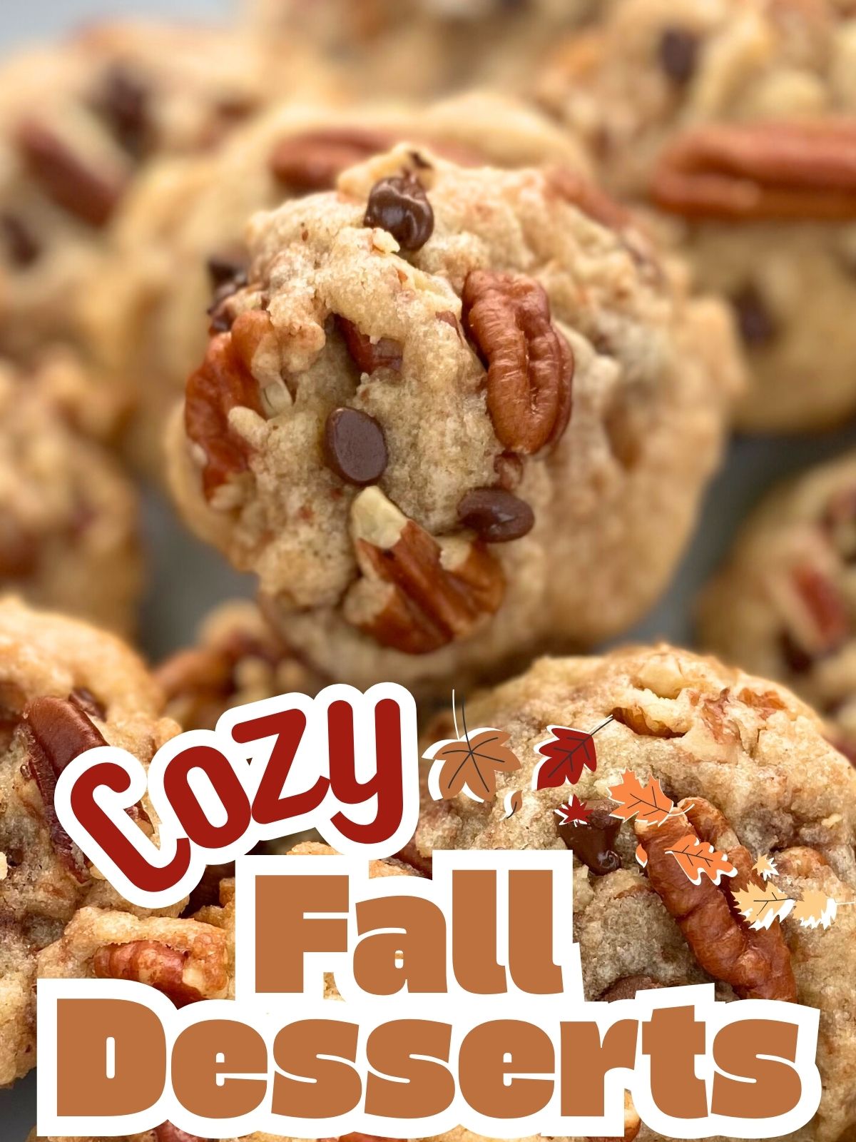 brown butter chocolate chip pecan cookies