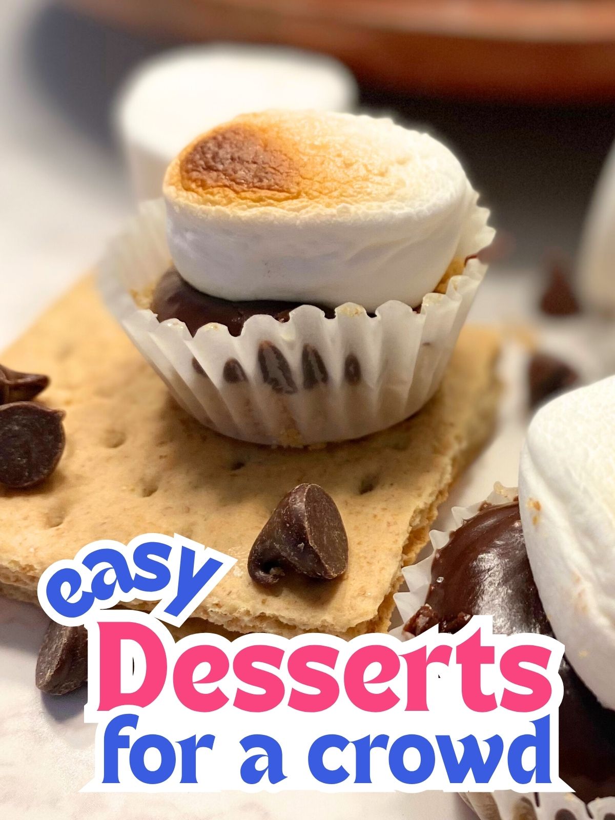 mini smores bites
