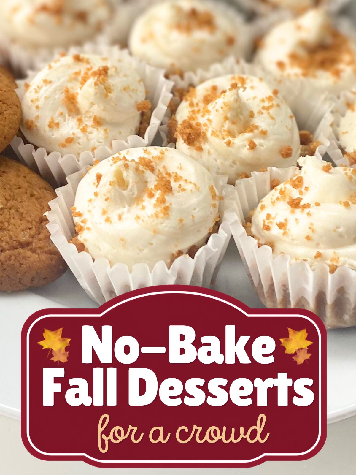 gingersnap cheesecake bites