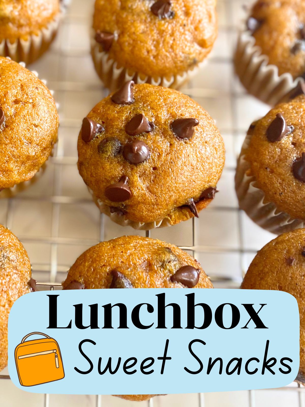 mini pumpkin chocolate chip muffins