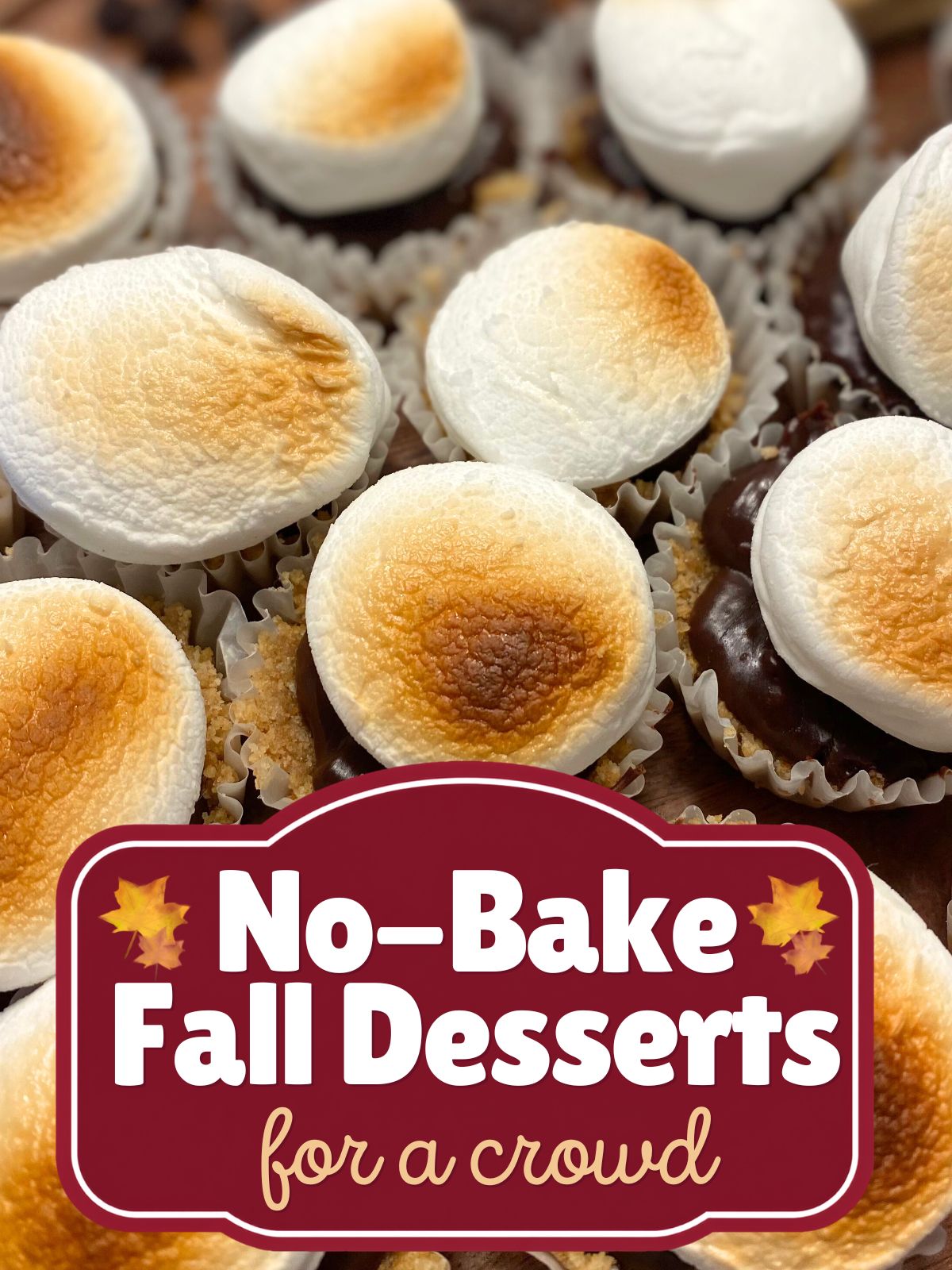 mini s'mores bites