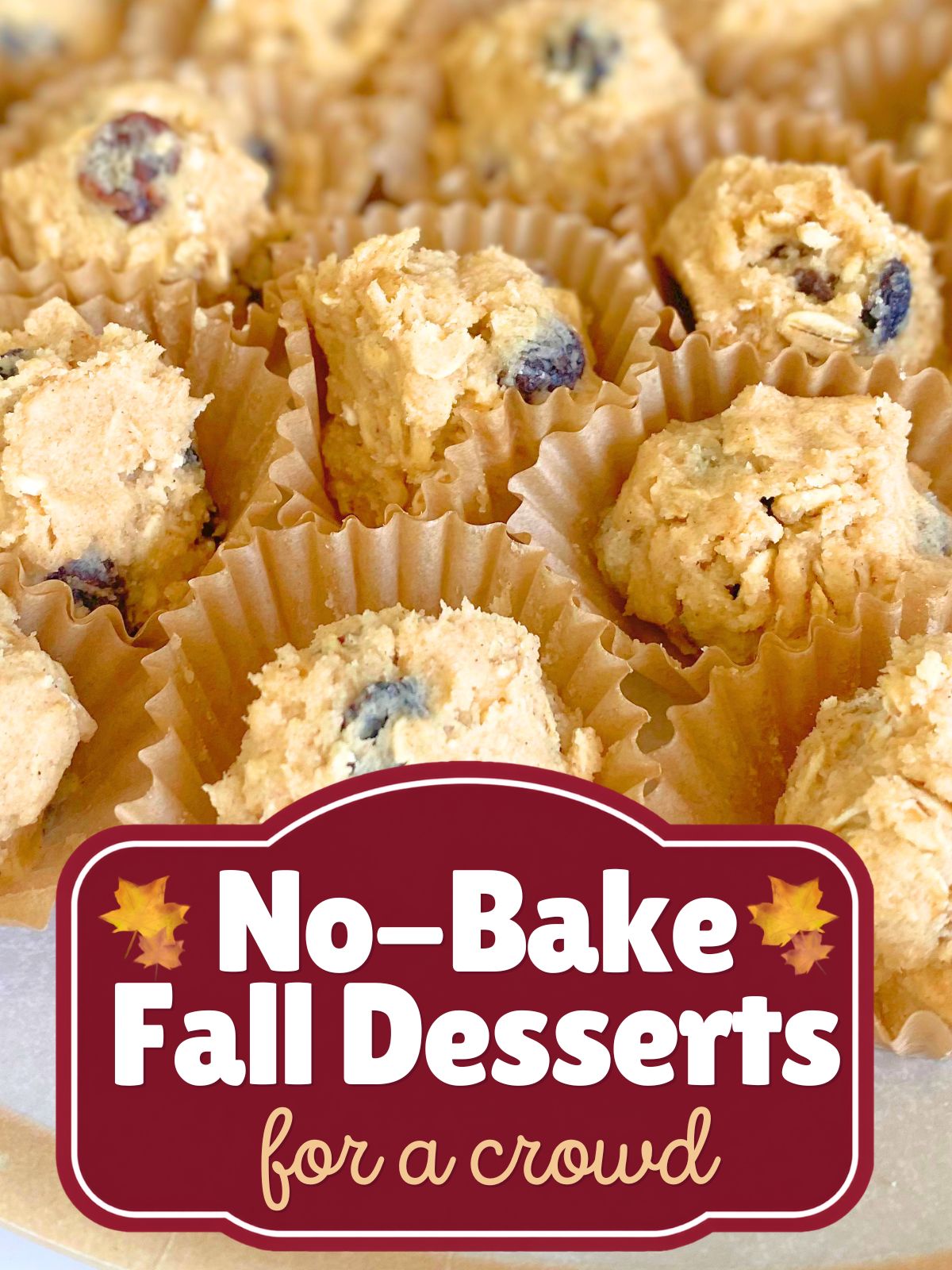 oatmeal raisin cookie dough
