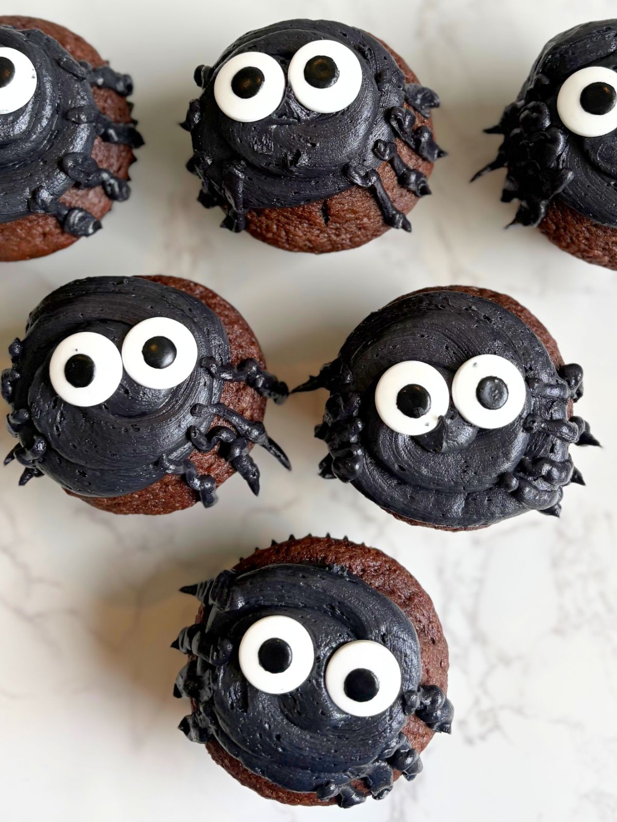 spider cupcakes