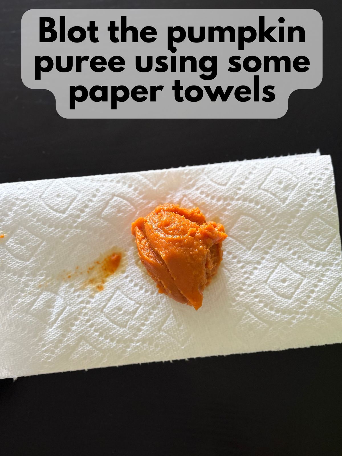 pumpkin puree sitting on paper towels