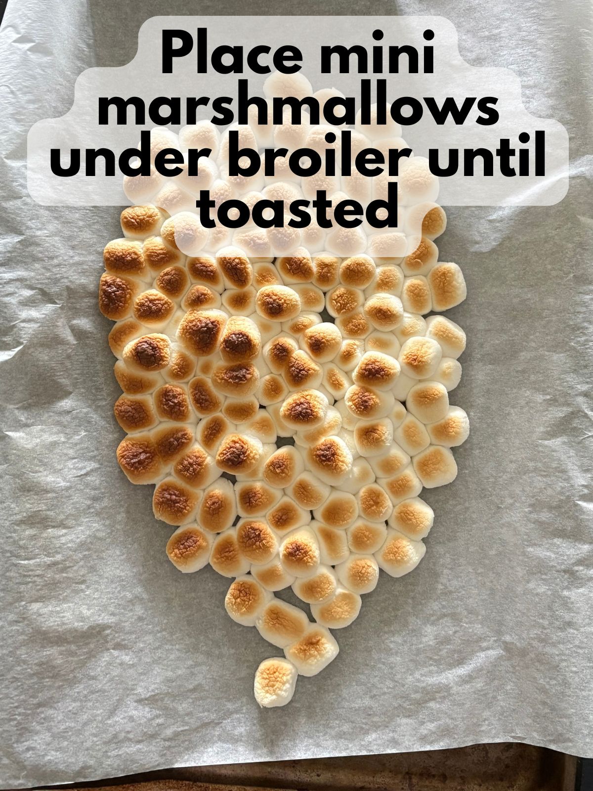 toasted marshmallows