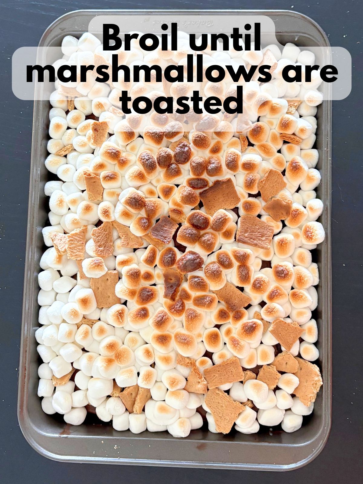 toasted marshmallows topping a s'mores poke cake